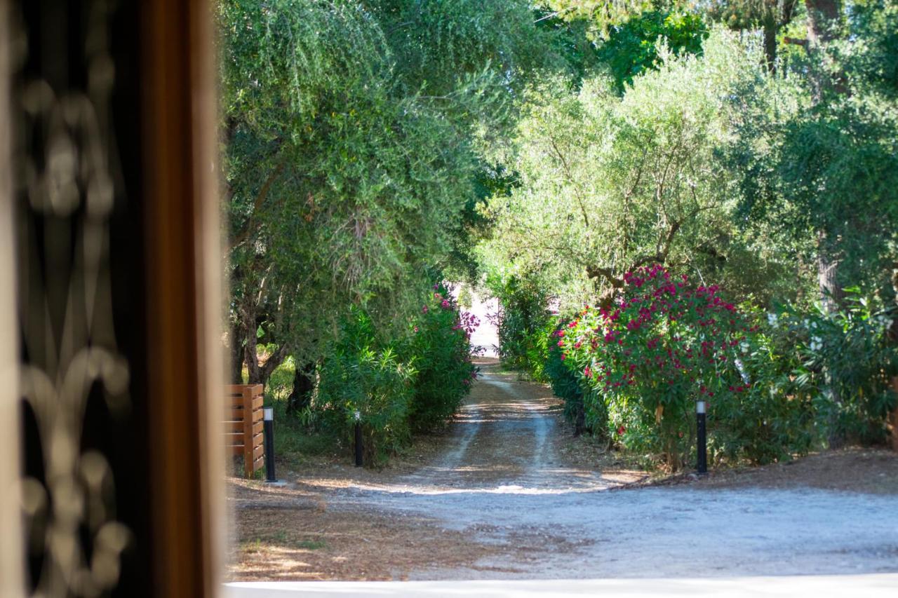 Villa Doliva Estate Laganas Exterior foto